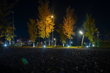 📍Şəmkir Şəhər Parkı   ⏰06.12.2025, saat 20:00