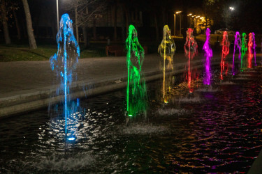 📍Şəmkir Şəhər Parkı   ⏰06.12.2025, saat 20:00